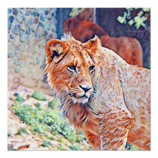 aquarell lion perfect poster (Voorkant)