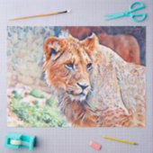 aquarell lion tissuepapier (Craft)