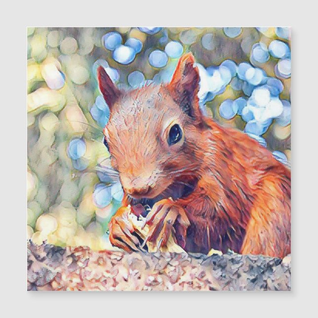 aquarell squirrel (Voorkant)
