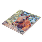 aquarell squirrel tegeltje (Zijkant)
