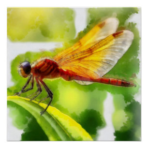 Aquarelle, Libellule Perfect Poster