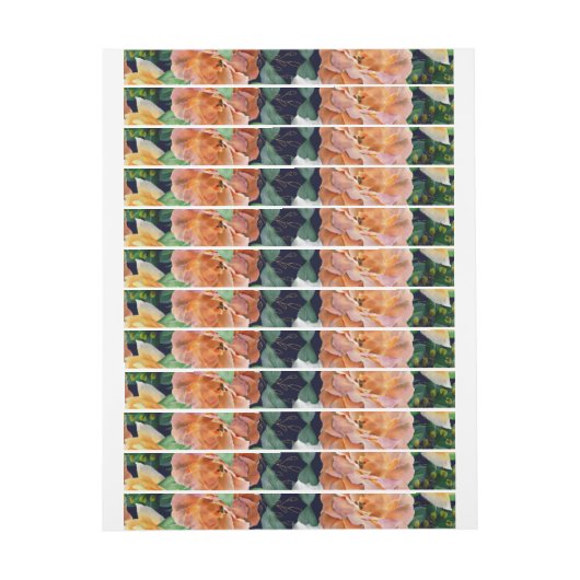 Aquarelrozen 29 (Vel)