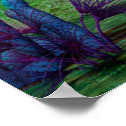 Aquarium3D Poster (Hoek)