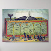  aquarium AD Poster (Voorkant)