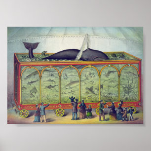  aquarium AD Poster