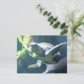 aquarium briefkaart (Staand voorkant)