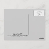 aquarium briefkaart (Achterkant)