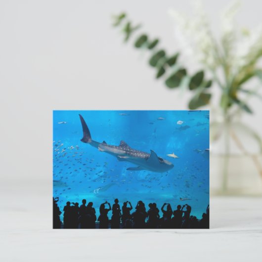 Aquarium Briefkaart (Staand voorkant)