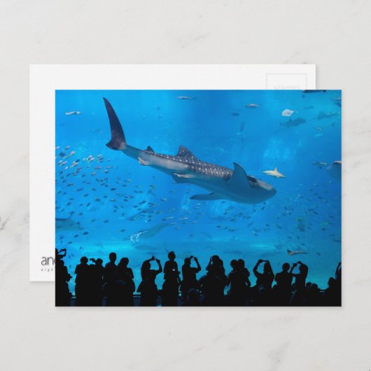 Aquarium Briefkaart (Voorkant / Achterkant)