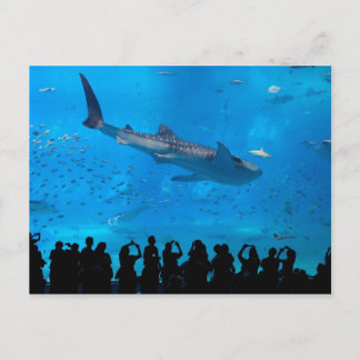 Aquarium Briefkaart
