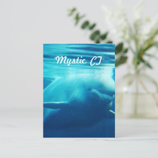 Aquarium Briefkaart (Staand voorkant)