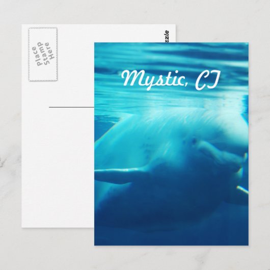 Aquarium Briefkaart (Voorkant / Achterkant)