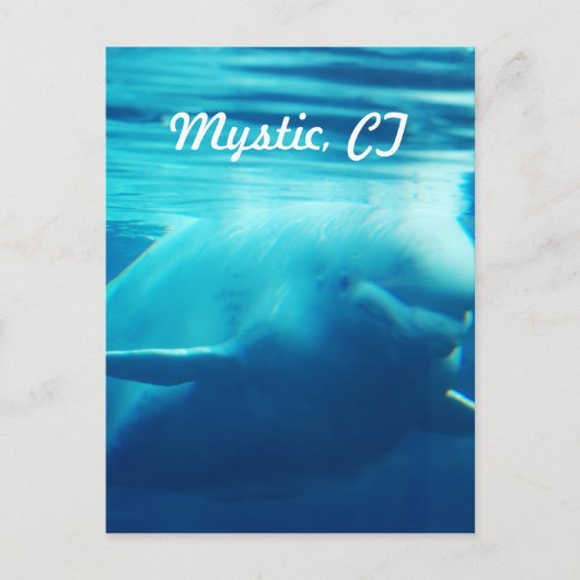 Aquarium Briefkaart (Voorkant)