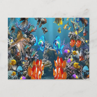 Aquarium Briefkaart