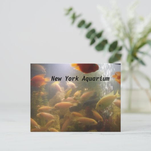 Aquarium-Briefkaart Briefkaart (Staand voorkant)