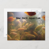 Aquarium-Briefkaart Briefkaart (Voorkant / Achterkant)