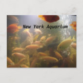Aquarium-Briefkaart Briefkaart (Voorkant)