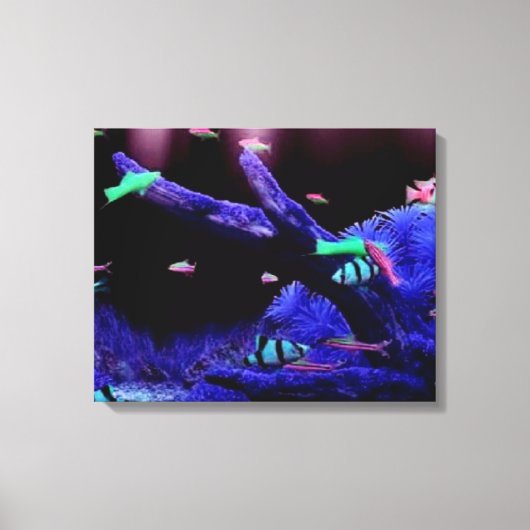Aquarium Canvas Afdruk (Voorkant)