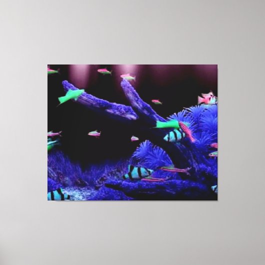 Aquarium Canvas Afdruk (Voorkant)