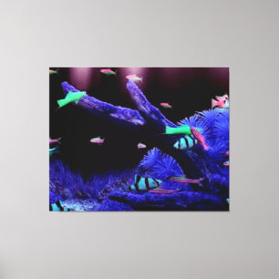 Aquarium Canvas Afdruk