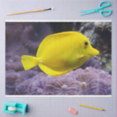 aquarium-citroenweefselpapier tissuepapier (Craft)