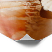 Aquarium Collectie Seashells Poster (Hoek)