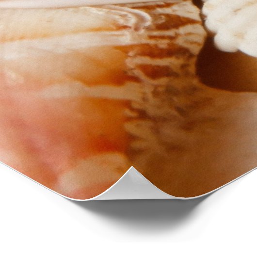 Aquarium Collectie Seashells Poster (Hoek)