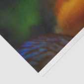 aquarium-discus visweefselpapier tissuepapier (Detail)