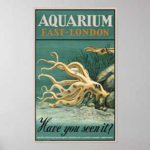 Aquarium, East London-Octopus Poster