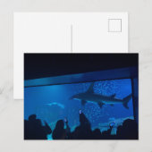 Aquarium Haientank Expositie Briefkaart (Voorkant / Achterkant)