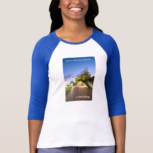 Aquarium in de Noog 3/4 Sleeve Raglan T-Shirt (Voorkant)