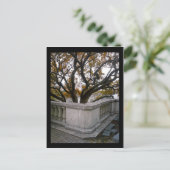 aquarium in de shedd : najaar briefkaart (Staand voorkant)