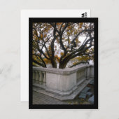 aquarium in de shedd : najaar briefkaart (Voorkant / Achterkant)