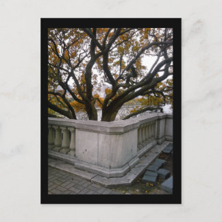 aquarium in de shedd : najaar briefkaart