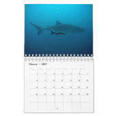 Aquarium Kalender (Feb 2027)