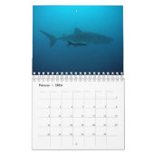 Aquarium Kalender (Feb 2026)
