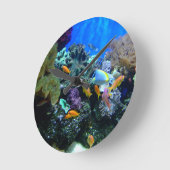 Aquarium-klokkast Ronde Klok (Hoek)