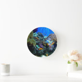 Aquarium-klokkast Ronde Klok (Huis)