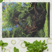 Aquarium Layout of Freshwater Angelfishes Theedoek (Gevouwen)