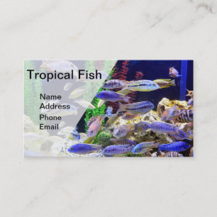 Aquarium met prachtige kleurrijke tropische vissen visitekaartje