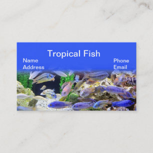 Aquarium met prachtige kleurrijke tropische vissen visitekaartje