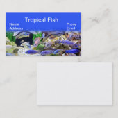 Aquarium met prachtige kleurrijke tropische vissen visitekaartje (Voorkant / Achterkant)