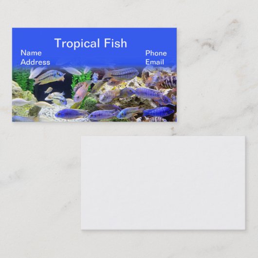 Aquarium met prachtige kleurrijke tropische vissen visitekaartje (Voorkant / Achterkant)