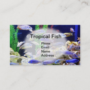Aquarium met prachtige tropische vissen visitekaartje