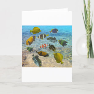 Aquarium met veelkleurige vissen bedankkaart