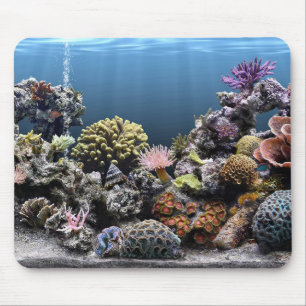 Aquarium Muismat