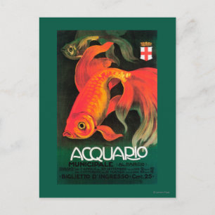 Aquarium & Municipal Park Promotional Poster Briefkaart
