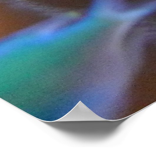 Aquarium (Nemo) Poster (Hoek)