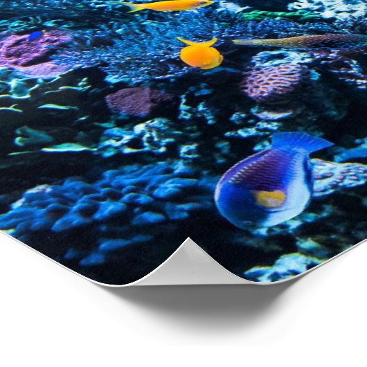 Aquarium-Poster Poster (Hoek)