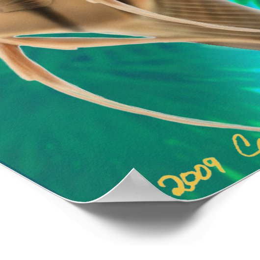 Aquarium-Poster voor zoetwater Poster (Hoek)